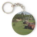 Ute Graveyard keychains