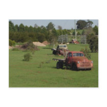 Ute Graveyard postcards by sharonsphotography Ute Graveyard postcards
