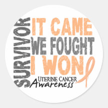 Uterine Cancer Survivor It Came We Fought I Won Sticker