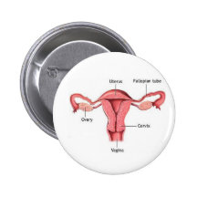 Uterus Buttons