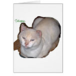 utopia the siamese cat cutout cards