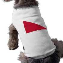 Utrecht, Netherlands pet clothing