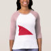 Ladies 3/4 Sleeve Raglan (Fitted)