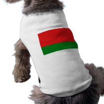 Uttar Pradesh, India pet clothing