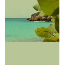uva de playa en Santo Martine t-shirts