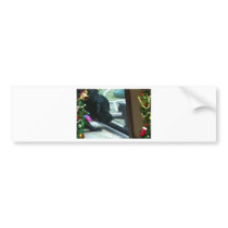 uvs061117-004 bumper sticker