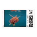 UW Giant Sea Turtle Reflection postage