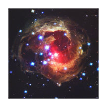 V838 Monocerotis Star (Hubble Telescope) Gallery Wrapped Canvas