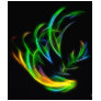 V Flame - Colorful Fracta...