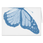 v o l a r  greeting cards