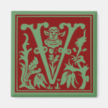 V REFRIGERATOR MAGNETS