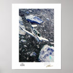 V-Tail Over Fjord Gallery Print