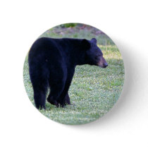 va black bear buttons