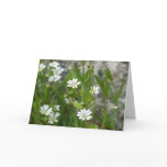 VA Wildflowers Notecard #1