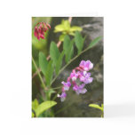 VA Wildflowers Notecard #3, Sweet Pea