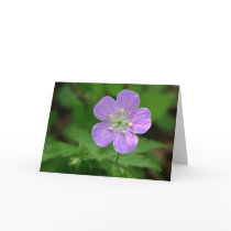 VA Wildflowers Notecard #4, Wild Geranium