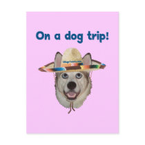 Vacation Dog Trip Postcard