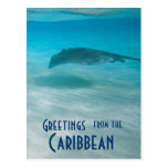 Vacation Greetings from Caribbean Post Card