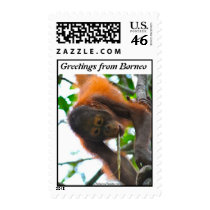 Vacation Greetings Stamp