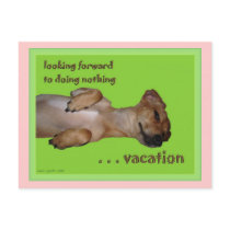 Vacation Haiku Art Collectible Postcard