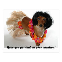 Vacation Postcard postcards