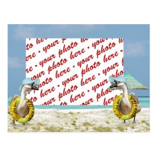 Vacation Time ! Photo Frame Postcards