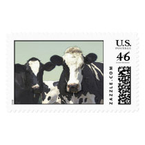 vach 2a postage stamps