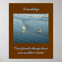 Vadear el poster de la amistad de las gaviotas