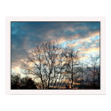 vagaries of nature posters by photomorgana vagaries of nature posters