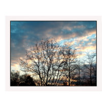 vagaries of nature posters