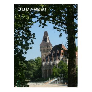 Vajdahunyad Castle - Budapest Postcard