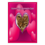 val-geoffroy-00169-45x65 greeting card