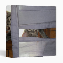Val the super cat, asleep in the window 3 ring binder
