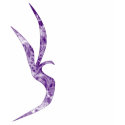 Valador Studios VS Dragon Logo t-shirts