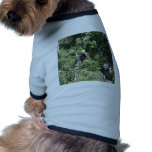 Valdez, Alaska Bald Eagle Dog Clothing