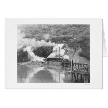Valdez, Alaska Gold Mining 1916 Greeting Cards