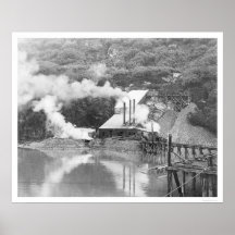 Valdez, Alaska Gold Mining 1916 Posters