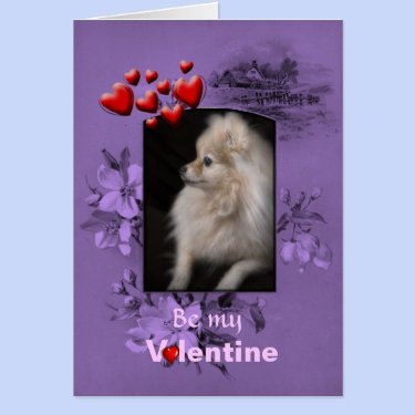 Valentine Adorably Cute Pomeranian Puppy Greeting Card