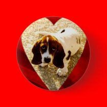 Valentine Bassett Hound buttons