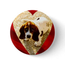 Valentine Bassett Hound buttons by mydoggieworld Valentine Bassett Hound buttons
