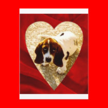 Valentine Bassett Hound postcards