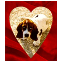 Valentine Bassett Hound t-shirts