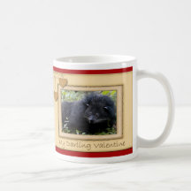 Valentine Bearcat Mug