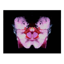 valentine bearsPhoto 10478 Postcards