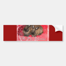 Valentine Bunnies: Be My Valentine Bumper Stickers