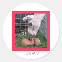 Valentine Bunny LLama Love I Love You Sticker