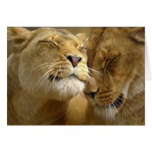 Valentine Card