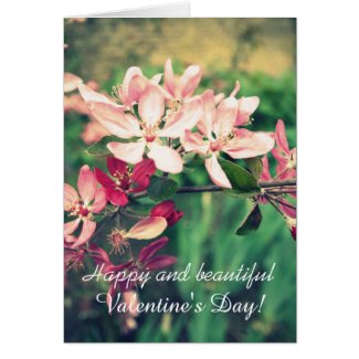 Valentine card, spring flowers