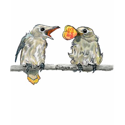 Valentine Cartoon Birds T-Shirt by zooogle