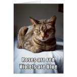 Valentine Cat funny poem Greeting Card